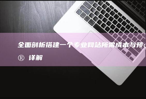 全面剖析：搭建一个专业网站所需成本与预算详解